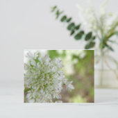 Meadowweet Briefkaart (Staand voorkant)