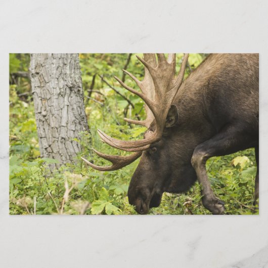 Meandering Moose Briefpapier (Voorkant)