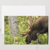 Meandering Moose Briefpapier (Voorkant / Achterkant)