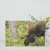 Meandering Moose Briefpapier (Staand voorkant)