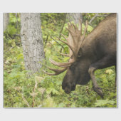 Meandering Moose Cadeaupapier (Vlak)