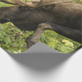 Meandering Moose Cadeaupapier (Hoek)