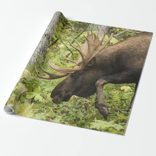 Meandering Moose Cadeaupapier (Uitgerold)