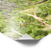 Meandering Moose Foto Afdruk (Hoek)