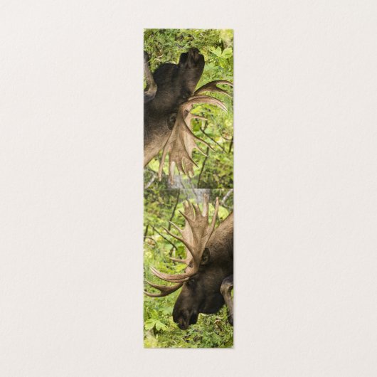 Meandering Moose Kaart (Buitenkant ongevouwen)