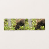 Meandering Moose Kaart (Buitenkant ongevouwen)