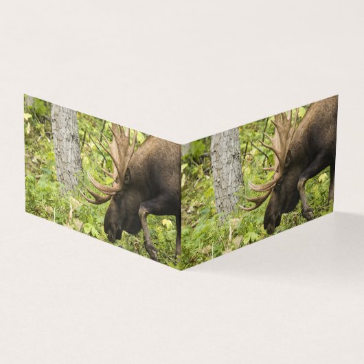 Meandering Moose Kaart (Buitenkant)