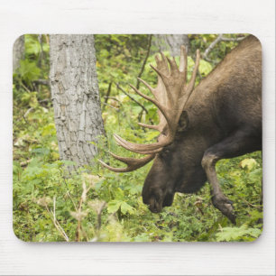 Meandering Moose Muismat
