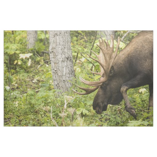 Meandering Moose Stof (Yard (91,4 cm))