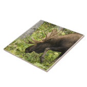 Meandering Moose Tegeltje (Zijkant)
