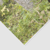 Meandering Moose Tissuepapier (Detail)