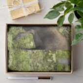 Meandering Moose Tissuepapier (Geschenk)