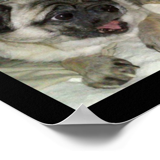 MEATBALLEN POSTER (Hoek)