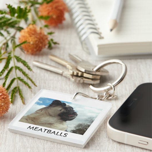 MEATBALLEN SLEUTELHANGER (Voorkant Rechts)