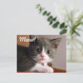 Meauw! Briefkaart (Staand voorkant)