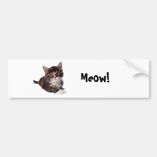 Meauw! Bumpersticker (Voorkant)
