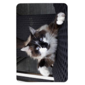 Meauw! Magneet (Verticaal)