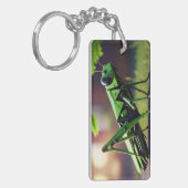 mechanische sprinkhaan sleutelhanger (Voorkant Links)