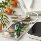 mechanische sprinkhaan sleutelhanger (Voorkant Rechts)