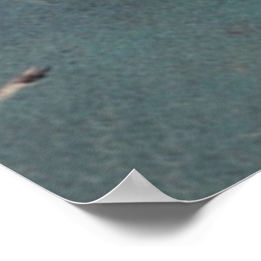 Mechanix Illustrated Pulp Magazine UFO C Poster (Hoek)