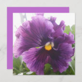 Mechteld blauw (Voorkant / Achterkant)