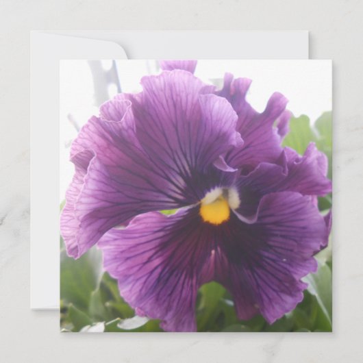 Mechteld blauw (Voorkant)