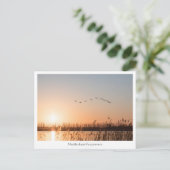 Mecklenburg-Vorpommern Briefkaart (Staand voorkant)