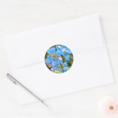 Meconopsis betonicifolia [Round Seal] ラウンドシール Ronde Sticker (Envelop)