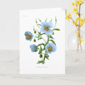 Meconopsis (blauwe papaver) kaart (Gele Bloem)