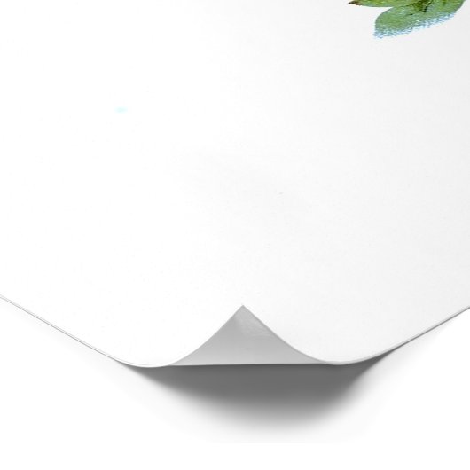 Meconopsis wallichiana (M wallichii) Poster (Hoek)