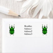 Mecynorhina torquata bug cartoon illustratie etiket (Insitu)