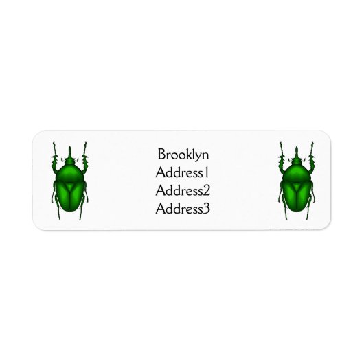 Mecynorhina torquata bug cartoon illustratie etiket (Voorkant)