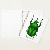 Mecynorhina torquata bug cartoon illustratie planner (Display)
