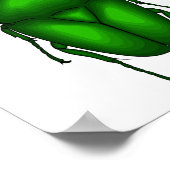 Mecynorhina torquata bug cartoon illustratie poster (Hoek)