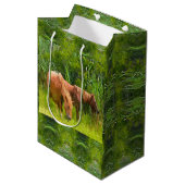 Med Gift Bag Assateague Ponies Medium Cadeauzakje (Voorkant Gekanteld)