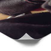 Medailles, wijsheid en een gekauwde erfenis poster (Hoek)