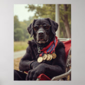 Medailles, wijsheid en een gekauwde erfenis poster (Voorkant)