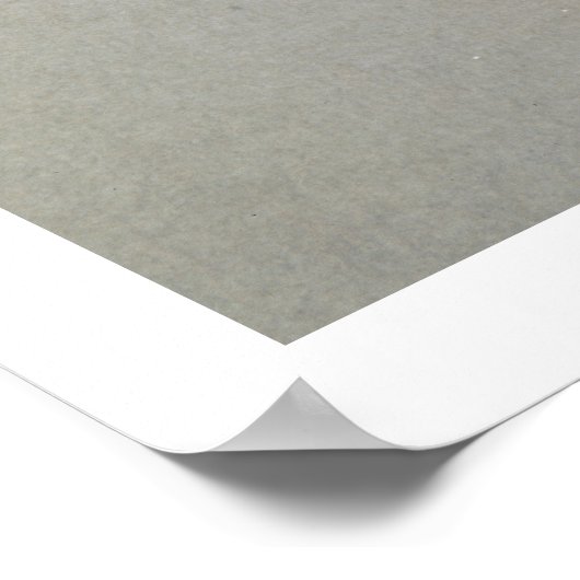 Medallion met Jonah en de walvis, Roman, 4t Poster (Hoek)