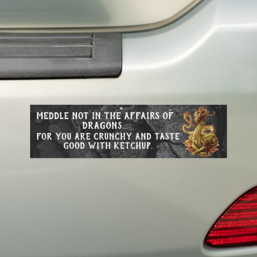 Meddle niet in de zaak van Dragons Bumper Sticke Bumpersticker (Op auto)