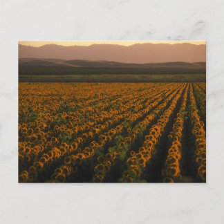 MeddockPhoto_Briefkaart_Art Briefkaart