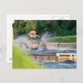 MeddockPhoto_Briefkaart_WSkate Briefkaart (Voorkant / Achterkant)