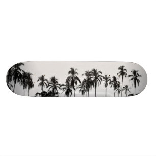 MeddockPhoto_Skateboard_Places Skateboard