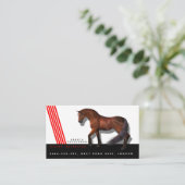Mededinging Riding instructeur Coach Trainer Paard Visitekaartje (Staand voorkant)