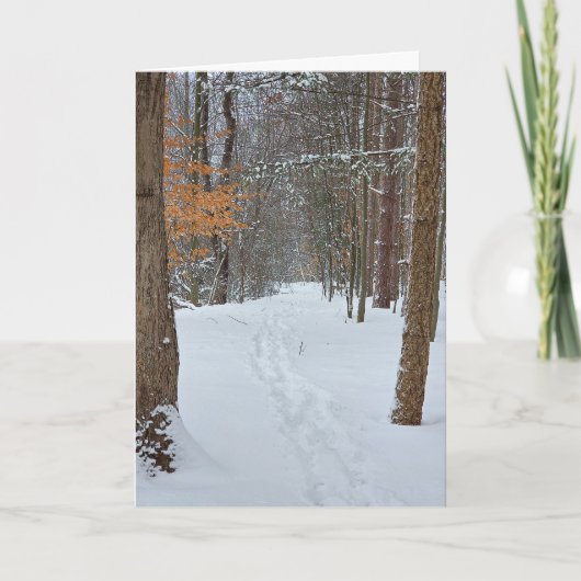 Medeleven Besneeuwde voetsporen in een winterbos Kaart (Voorkant)