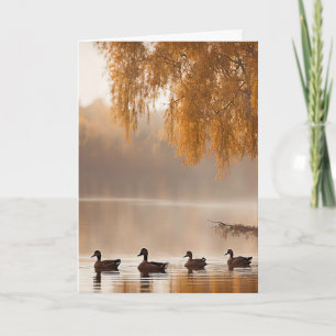 Medeleven Mistige Herfstmeer Met Eenden Kaart