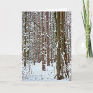 Medeleven Rustige Winterbos Kaart