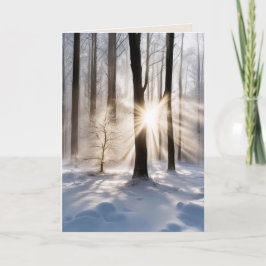 Medeleven Zonnestralen In Winterbos Kaart