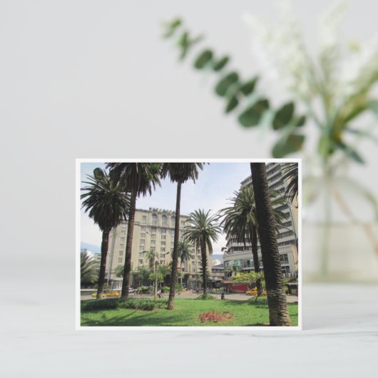 medellín nutibara briefkaart (Staand voorkant)