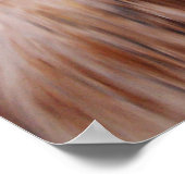 medeplichtigen poster (Hoek)