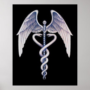 Medical Caduceus Symbool Black Business Poster